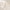 ChatGPT_Image_May_7_2026_12_23_22_PM