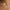 PERSONALIZED