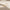 openhuggies_63adfcec-868f-4128-99d0-0305db579c25