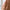 Texturerad Ormringsring Guld