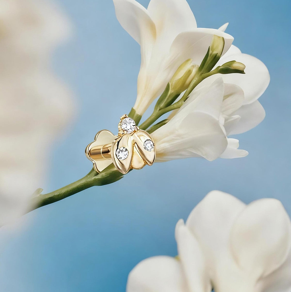 Color:Yellow Gold
Post Length:6.5mm
Post Length:5mm
Post Length:8mm