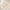 ChatGPT_Image_May_7_2026_01_36_04_PM