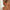 Skinny Bar Stud Earrings
