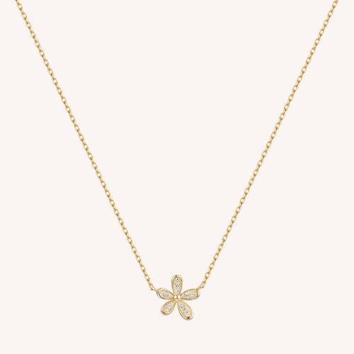 Color:Yellow Gold