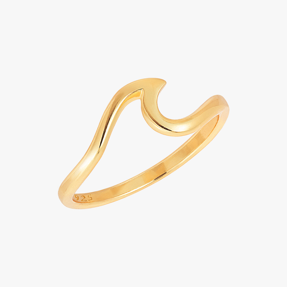 Ocean Ring Gull