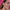 adoreMEAddtocart_1cc26988-e524-4f92-b47b-bd409ed3e4ef
