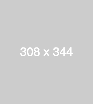 dummy_308x344_ffffff_cccccc
