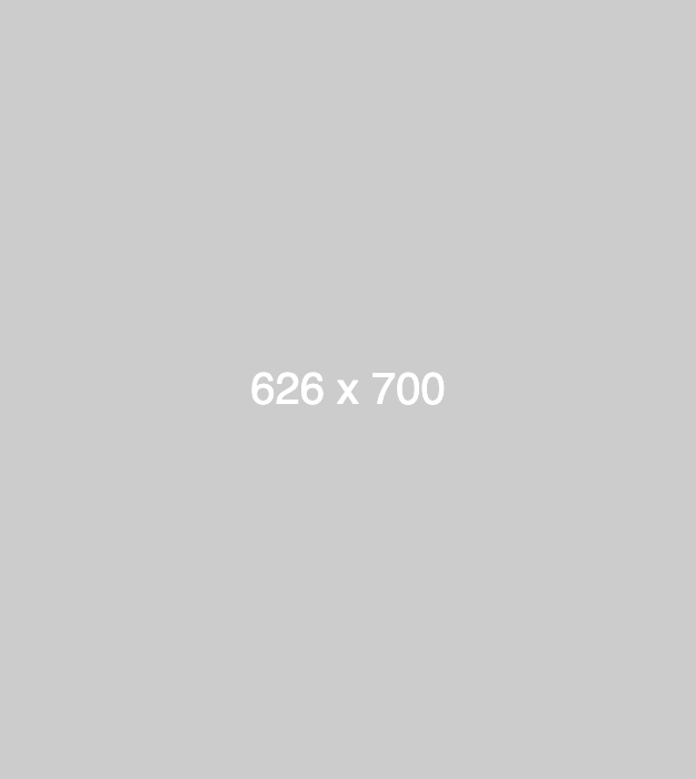 dummy_626x700_ffffff_cccccc