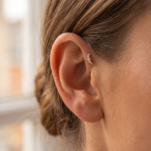 Crescent CZ Internal Labret Earring