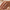 Pierścionek Sparkle Heart Dome Silver